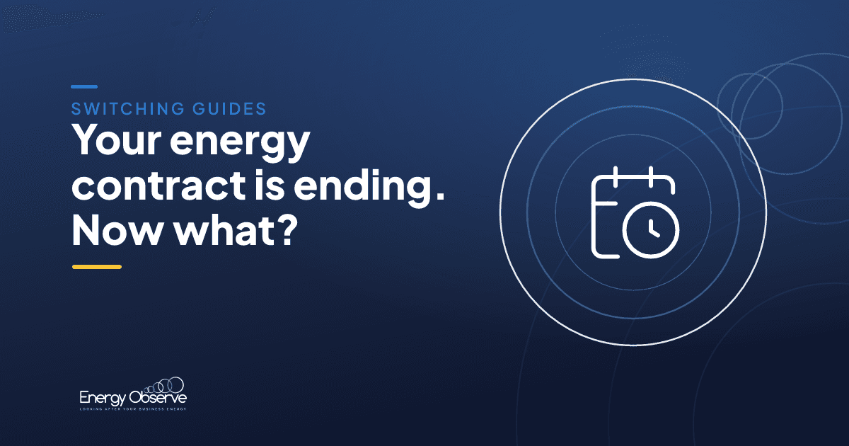 Energy Observe guide: your business energy contract is ending