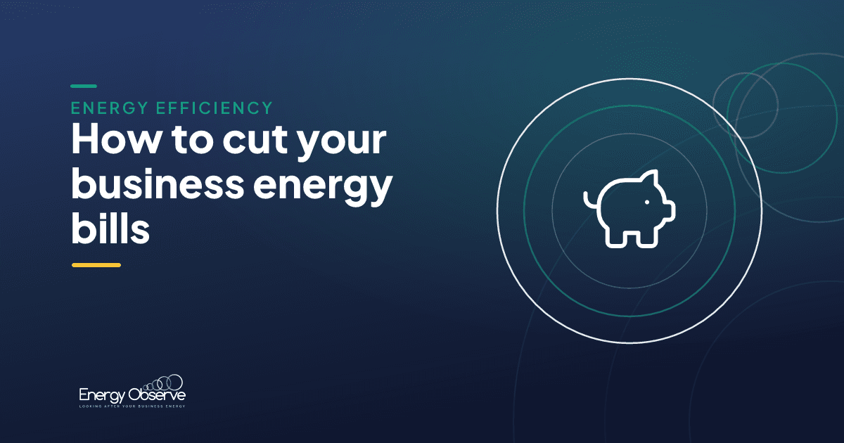 Energy Observe guide: how to cut your business energy bills